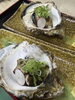 焼牡蠣　1個　800円…「岩牡蠣もう食べましたか🦪✨？」