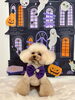 ぴのくん「Happy Halloween 2026🎃」