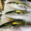 「魚魚市場鮮魚コーナーおすすめは「甘鯛・天然ぶり・天然ヒラス」です♪」