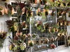 植物好きなら誰もが知る 植木の老舗卸問屋 花宇宙 さん かわいいなさんの空中散歩 まいぷれ 川西 三田 猪名川