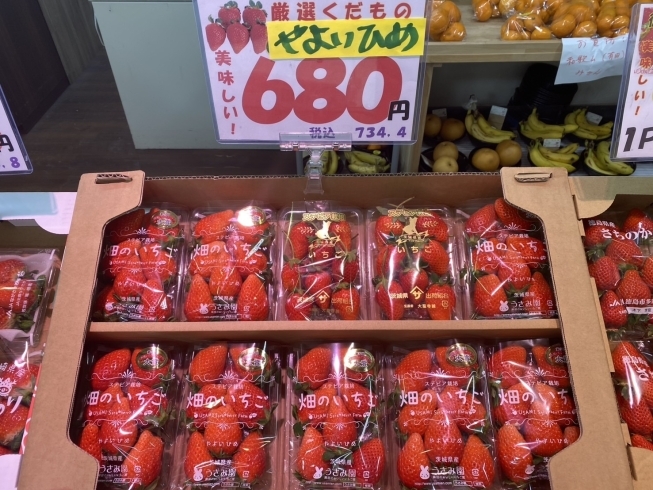 やよいひめ🍓「甘くて美味しいパイナップル🍍」