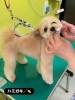 ハミガキ🪥もできました👏「笑顔がかわいいさりちゃん登場‼️」
