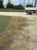 比較の為、左半分に温水散布「伊予市しおさい公園競技場❗️」