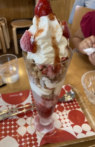 なかじま園のメロンパフェ まいぷれ静岡市編集部のニュース まいぷれ 静岡市 なかじま園のメロンパフェ まいぷれ静岡市編集部のニュース まいぷれ 静岡市