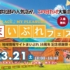 舞鶴最大級の地域イベント｜まいぷれフェスタ10周年記念感謝祭 in 赤れんがパーク