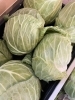 収穫したキャベツ「HAPPY農園の野菜と寄付金を児童園へ!地域への感謝を込めて」