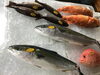 「魚魚市場鮮魚コーナーおすすめは「イサキ」です♪」