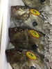 「魚魚市場鮮魚コーナーおすすめは「キンメダイ」です♪」
