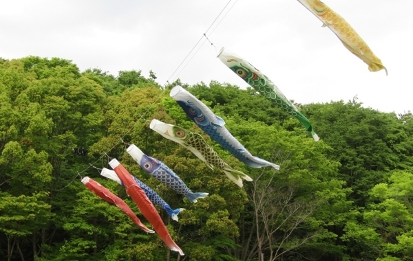 満濃池森林公園　まんのうっ子のこいのぼり流し