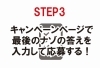 キャンペーンページで最後のナゾの答えを入力して応募する！