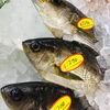 「魚魚市場鮮魚コーナーおすすめは「ノドグロ・ホーボー」です♪」