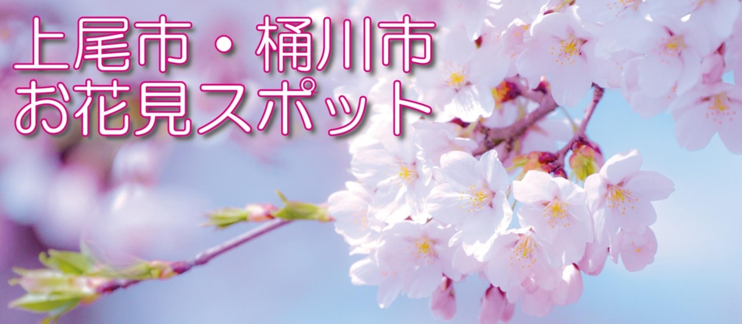 上尾市 桶川市お花見スポット まいぷれ 上尾 桶川 上尾市 桶川市お花見スポット まいぷれ 上尾 桶川