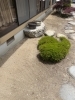 アフター「庭や空き地の草が伸びて困っていませんか？」
