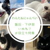 ペットと過ごすおススメお散歩コース　No.１【根羽村】