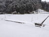 一面に広がる雪景色を満喫「猛暑と水不足を乗り越えた真菰と、新しい真菰田んぼの冬景色」