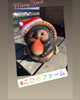 当園たぬき「Merry Xmas  こひろファームです」