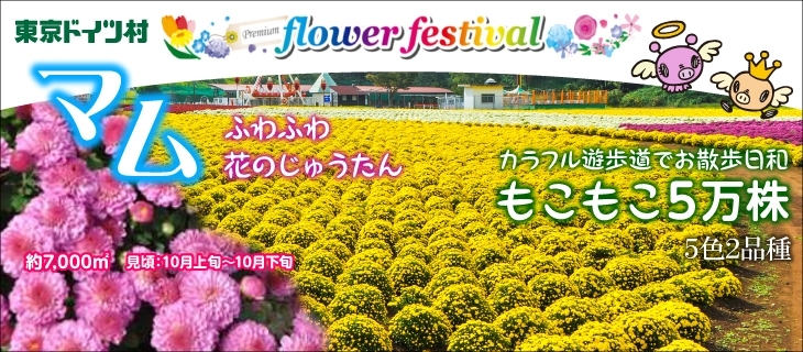 東京ドイツ村 フラワーフェスティバル 茂原市 長生郡 おでかけ観光情報 まいぷれ 茂原市 長生郡 東京ドイツ村 フラワーフェスティバル 茂原市 長生郡 おでかけ観光情報 まいぷれ 茂原市 長生郡