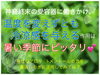 🌱ペパーミント🌱「〈Bipedalコラム〉精油のお話　①ペパーミント」
