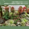 「合同会社 藤空豆【川口の造園会社】」