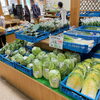 「直売所『旬の野菜・果物・山菜が入荷します！』」