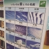国語works広島さんの教材「能力開発@宮ノ前ほたる保育園」