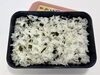 わかめご飯「４月１７日のお弁当🍱」