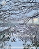 「Sunday, 28th December 2025」