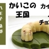 八王子 桑都　かいこのチョコレート　かいこの王国　２個入り箱
