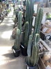 柱サボテン「入荷日」