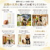 玄関の天井に貼ってお祀りしてください「運気上昇　護符（家運隆昌・商売繁盛・財運繁栄）　「家運を上げて、日々の暮らしをもっと豊かに」」