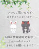 「商品紹介~ステディW~」