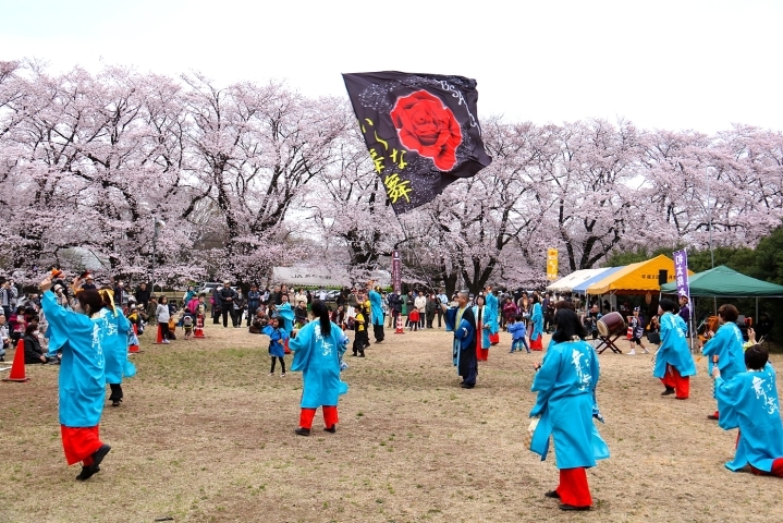 伊奈町のさくらまつり いなナビ 伊奈町 伊奈町のさくらまつり いなナビ 伊奈町
