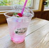 「緊急企画！がんばれ飲食店！[30】越前市　Rose Cafe風のガーデン」