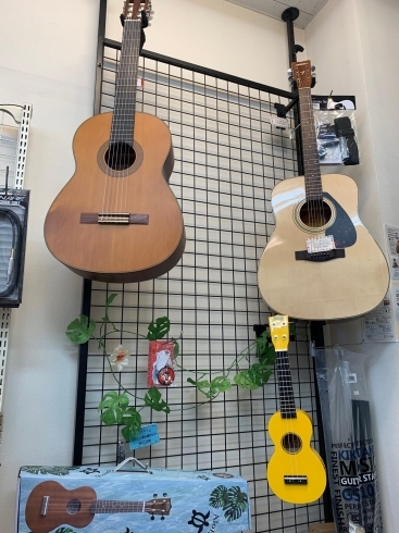 数量限定販売yamahaアコースティックギターf6のご案内です タンザワ楽器 御殿場音楽館のニュース まいぷれ 御殿場市 裾野市 小山町 数量限定販売yamahaアコースティックギターf6のご案内です タンザワ楽器 御殿場音楽館のニュース まいぷれ 御殿場市 裾野市 小山町