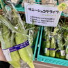 「信州産すいか『金色羅王』入荷しました！」