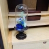 造花「人気商品＼(^o^)／」