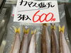 「おはよう御座います」