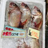 「魚魚市場鮮魚コーナーおすすめは「クロ・天然ぶり・天然ヒラス」です♪」
