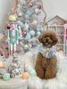こまちちゃん「MerryXmas🎄」