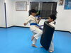 「11月13日(木)の稽古風景≪ 明石/空手/スポーツ/運動/幼児/小学生/お稽古/習い事≫」