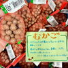 「木曽谷の冬はもちろん寒い⁈」