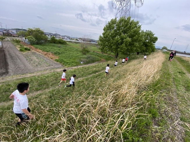 「何回転んだって、いいさ。」