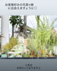 「先日入荷のお花・植物紹介✌🏻🌼」