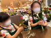 自由研究で困ったら 恵庭 花屋 花一 フラワーショップ花一のニュース まいぷれ 千歳 恵庭