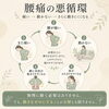 動かないことで、さらに動きにくくなる場合があります。「【草津市・南草津】腰が痛いから動かない。その安静、腰痛を長引かせているかもしれません」