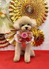 ぽんかんくん「Happy New Year」