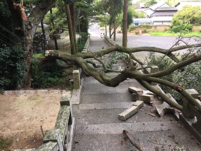 「気をつけてお参りください。」