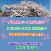 お得なキャンペーン♡「4月になりました🌸ベストシーズン✨ 思いっきり身体を動かして 溜まった老廃物を外に出しましょう✊  笑顔で過ごせる６０分   体験は無料で出来ます！お得なキャンペーンは5月6日まで👑」