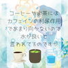 「水分補給する時何を飲めばいい？」