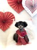 リリーちゃん／こっとんカット育成中　指名ＳＡＫＩ「Happy Valentine ♡」